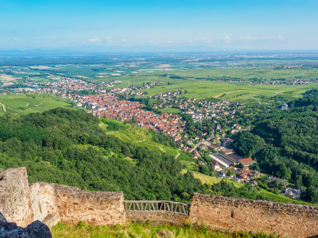 The Wine Route, a family activity in Alsace